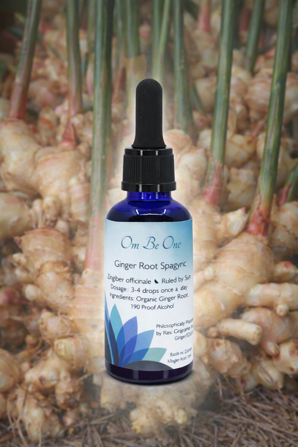 Ginger Spagyric Elixir